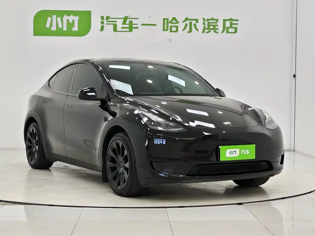 Tesla Model Y — миниатюра 3