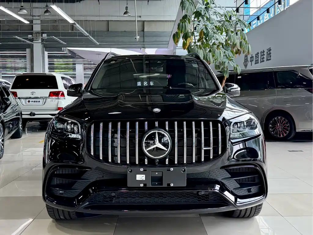 Mercedes-Benz GLS AMG — миниатюра 2