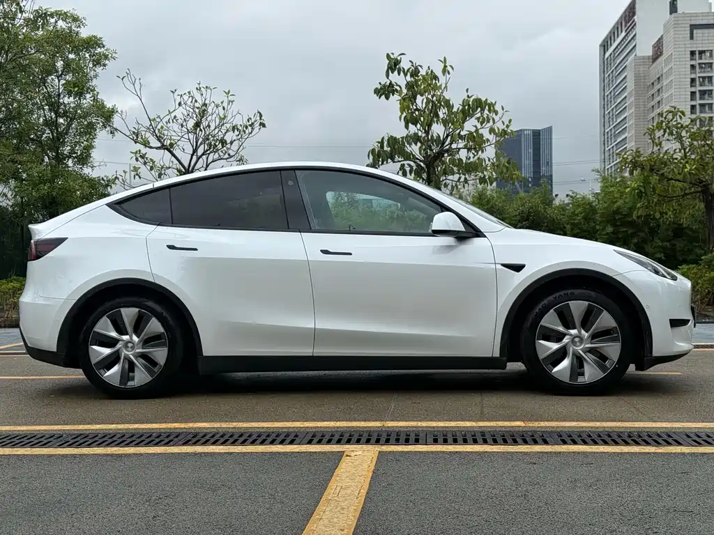 Tesla Model Y — миниатюра 16