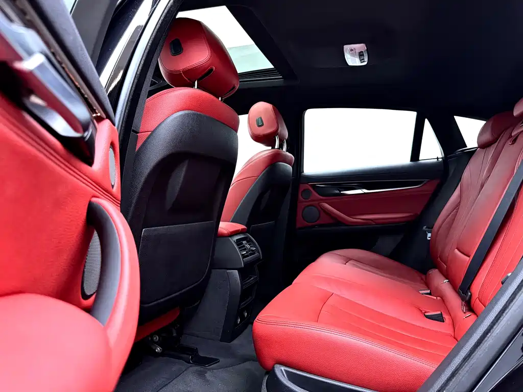 BMW X6 — миниатюра 18