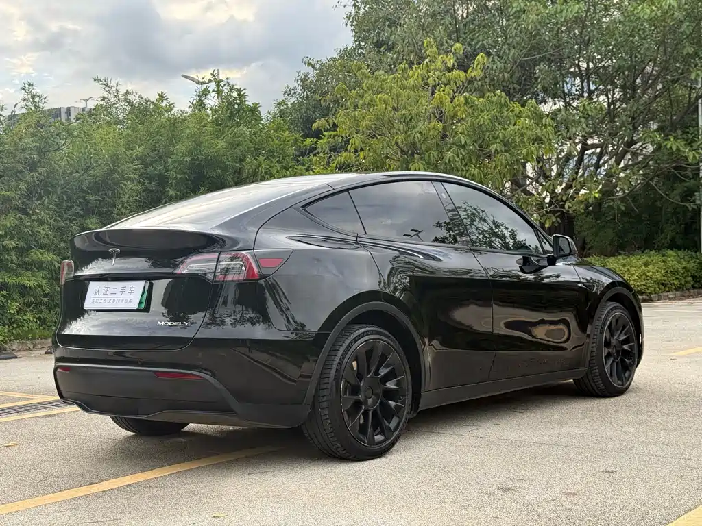 Tesla Model Y — миниатюра 11