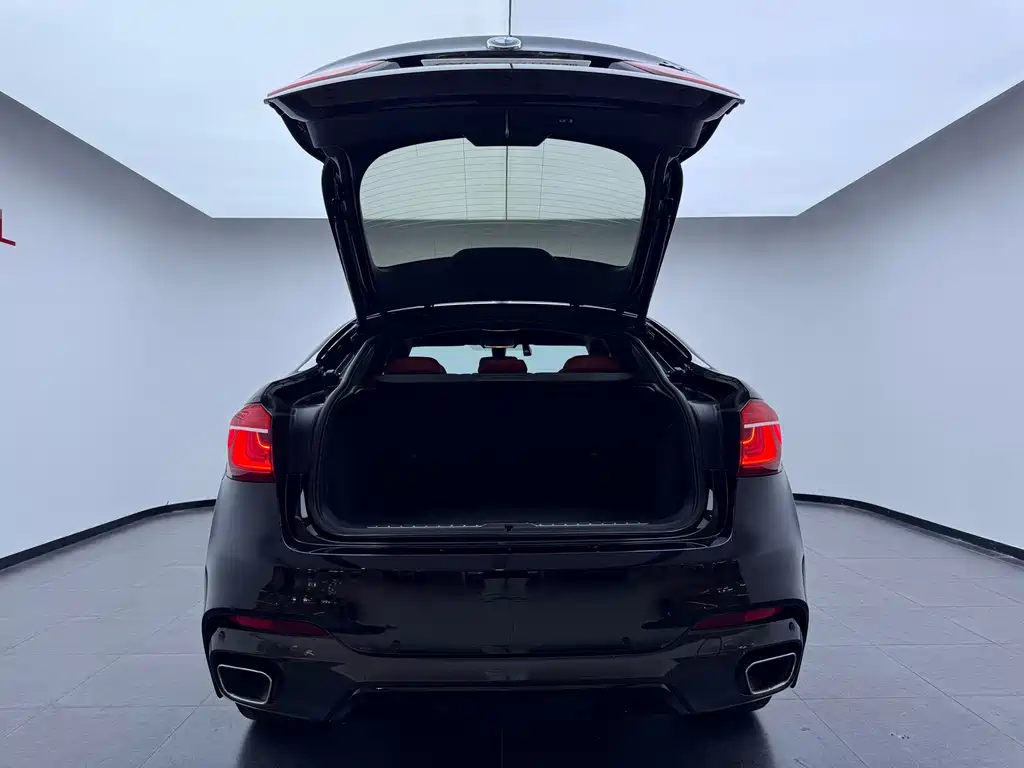BMW X6 — миниатюра 30