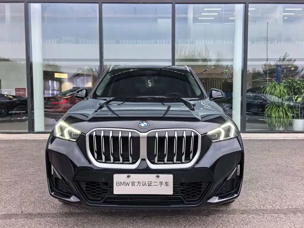 BMW X1 — миниатюра 2