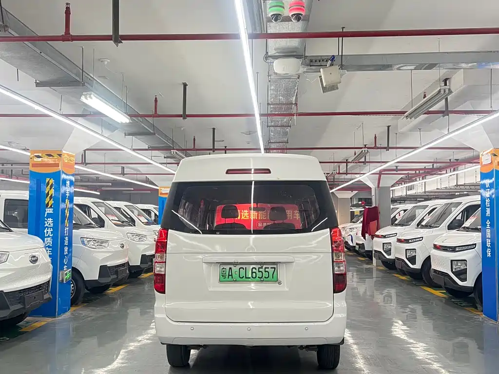 SRM XINYUAN NEW ENERGY SEA LION EV