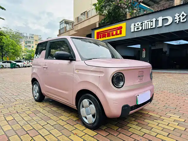 2023 Geely LC (Panda)