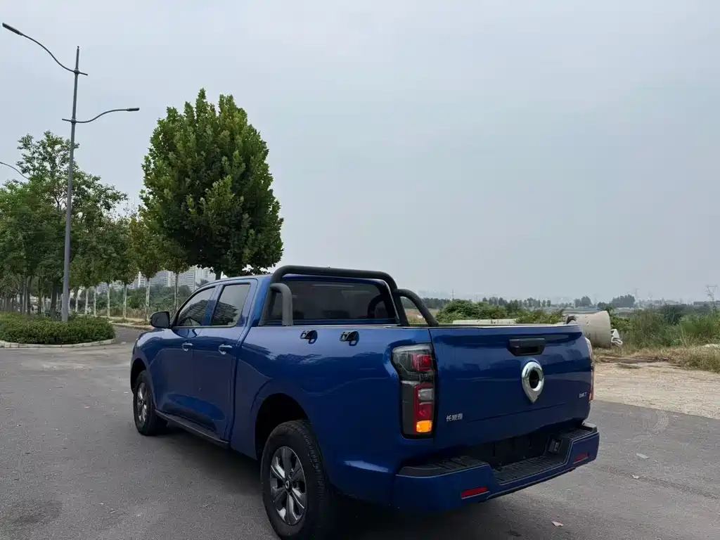 Great Wall Pao — миниатюра 9