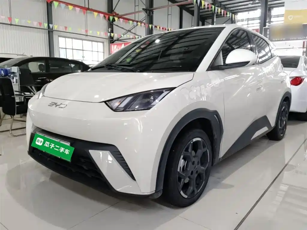 Byd Seagull 2024