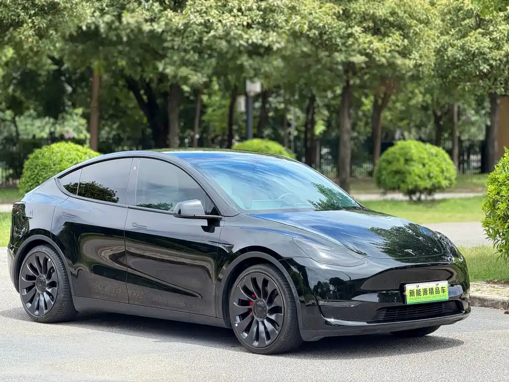 Tesla Model Y — миниатюра 2