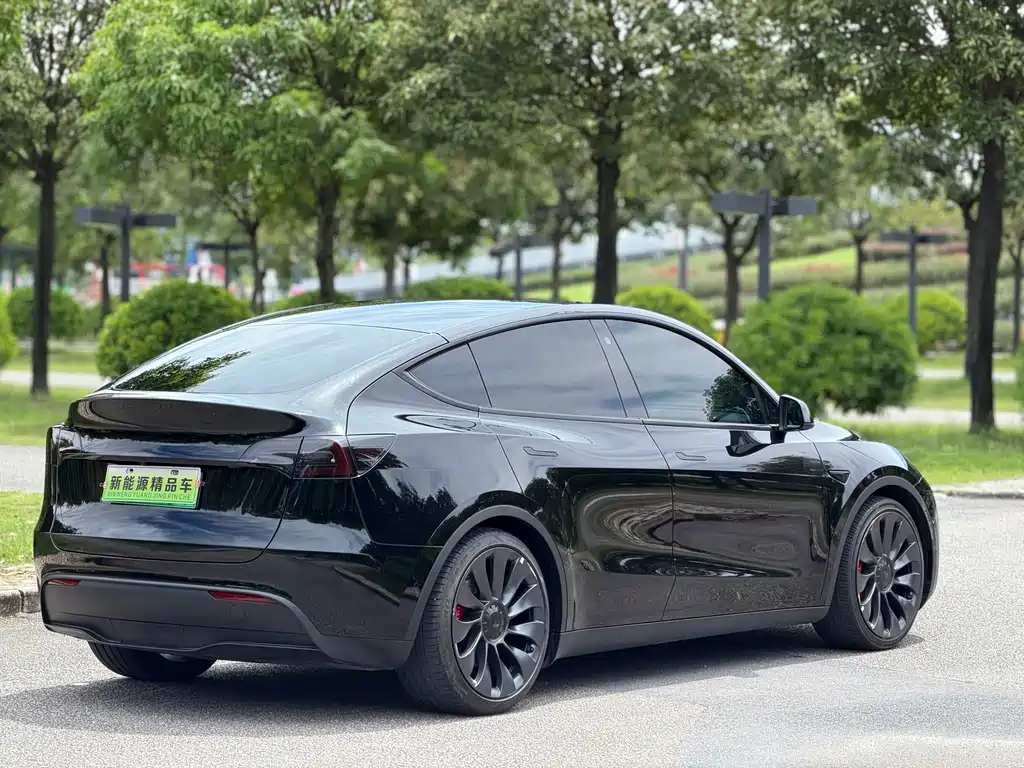 Tesla Model Y — миниатюра 5
