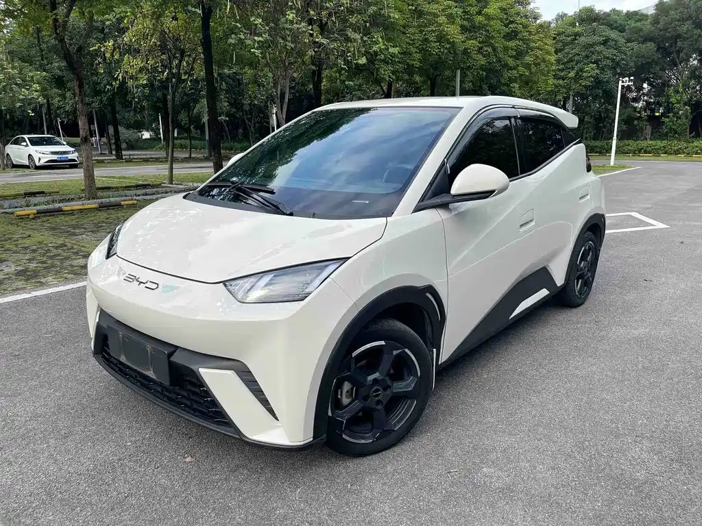 Byd Seagull 2024