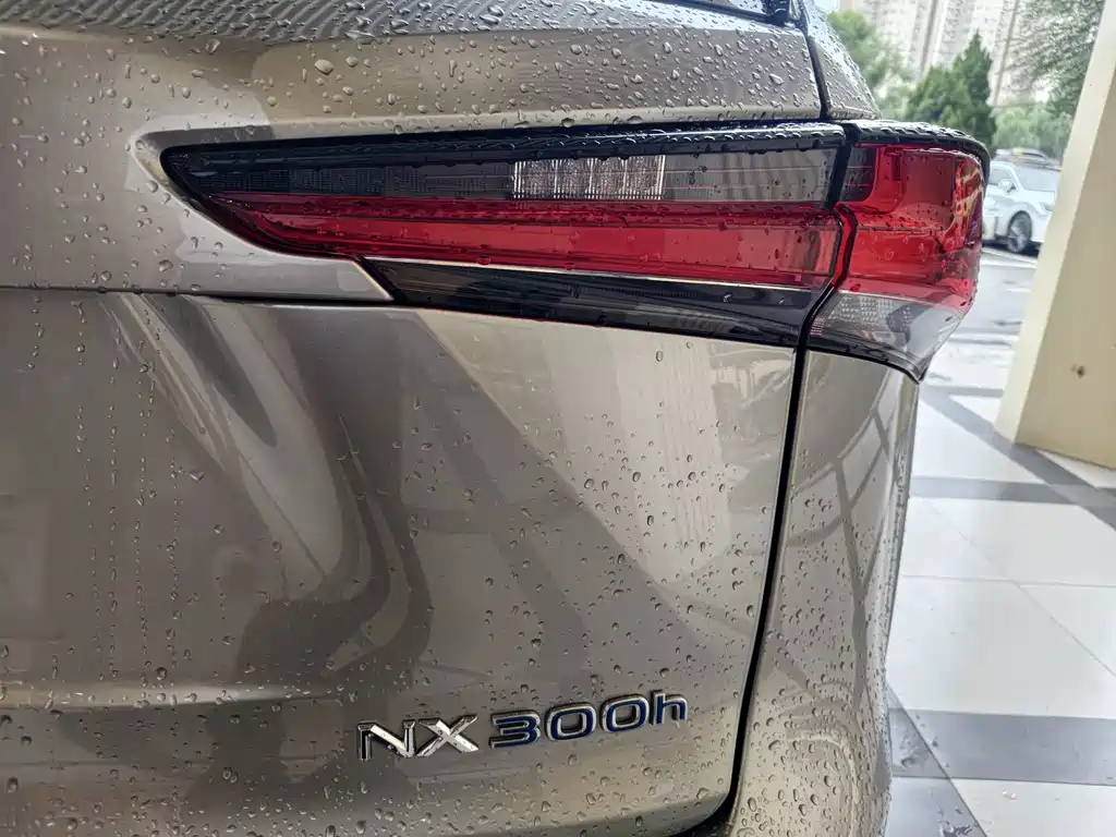 Lexus NX — миниатюра 15