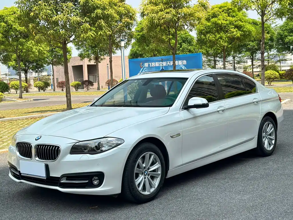 BMW 5 Series 2014