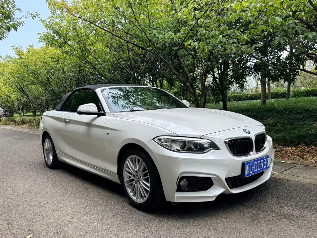 BMW 2 Series (Import) — миниатюра 3