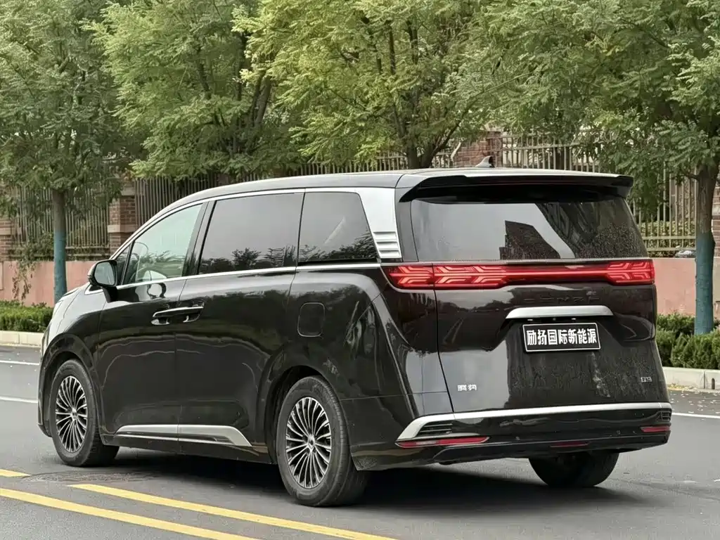 Denza Denza D9 — миниатюра 7