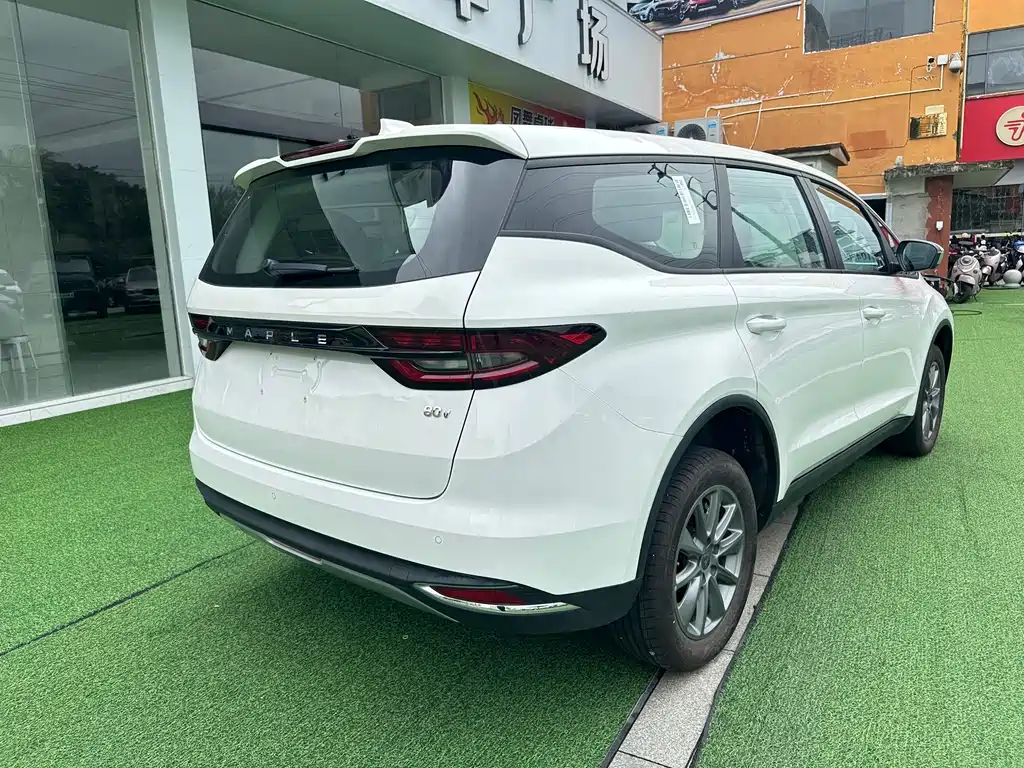 RUILAN AUTOMOBILE MAPLE LEAF 80V