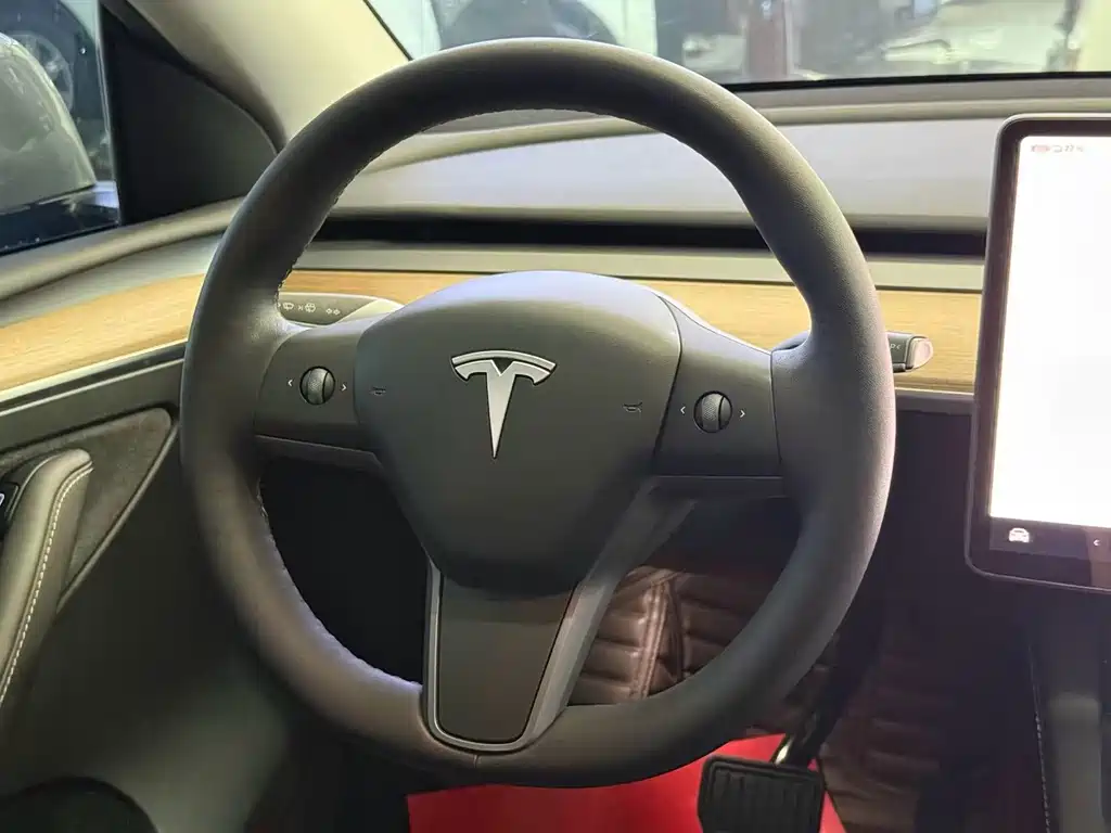 Tesla Model Y — миниатюра 9