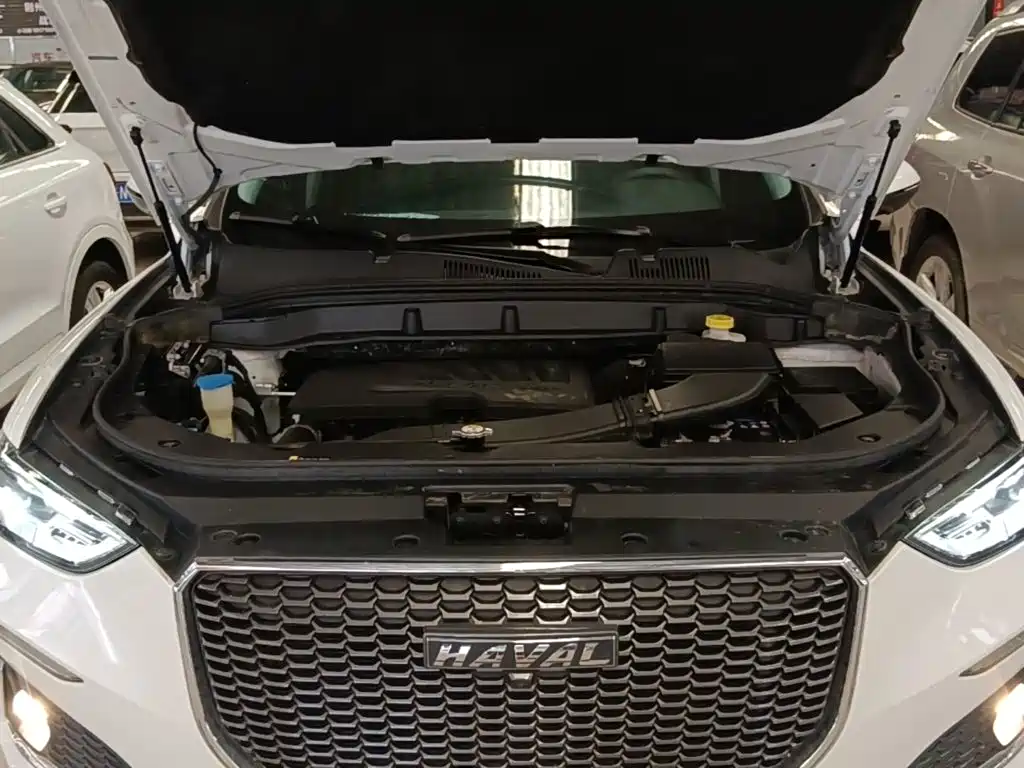 Haval F5 — миниатюра 20