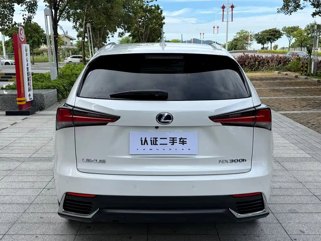 Lexus NX — миниатюра 13