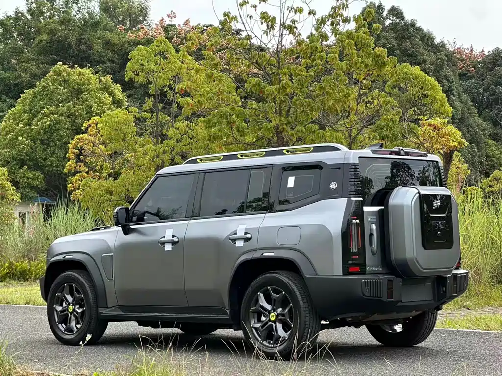 Shanhai Traveller C-DM — миниатюра 4