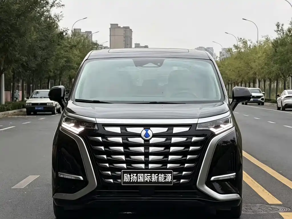 Denza Denza D9 — миниатюра 2