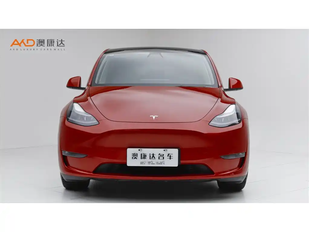 Tesla Model Y — миниатюра 2
