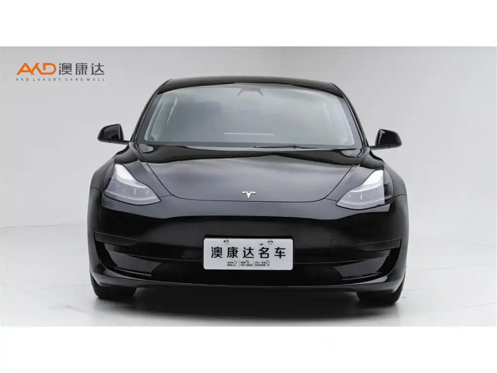 Tesla Model 3 — миниатюра 2