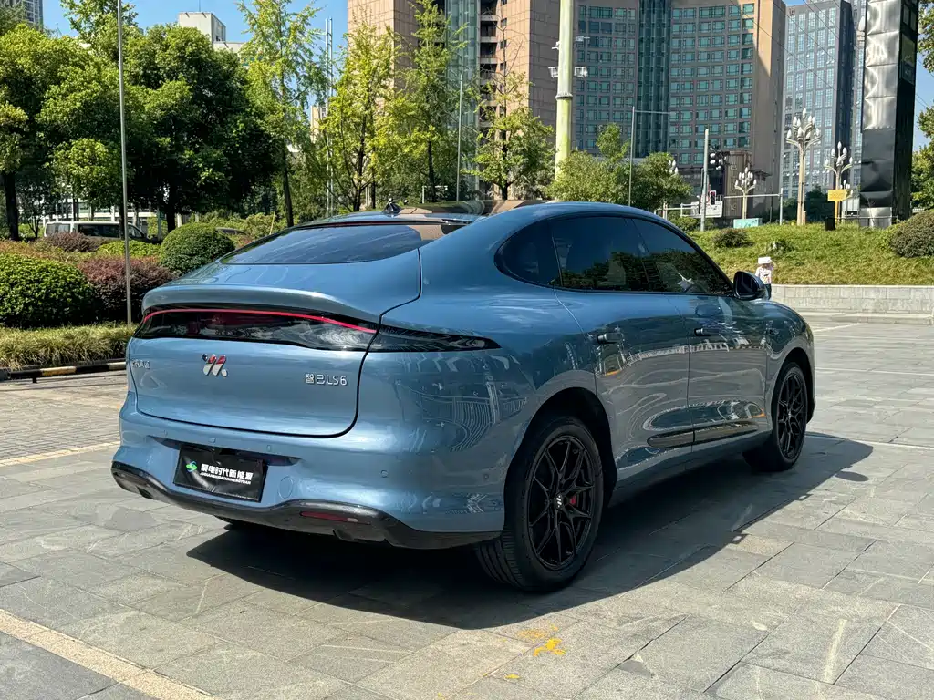 IM IM LS6 — миниатюра 13