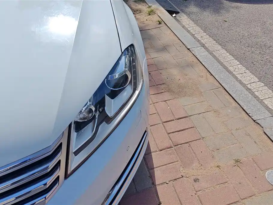 Volkswagen Magotan 2015 2.0TSI Flagship