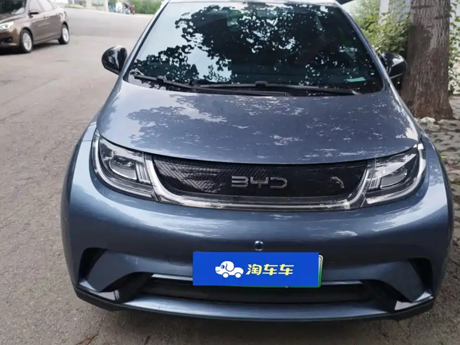 BYD Dolphin — миниатюра 2