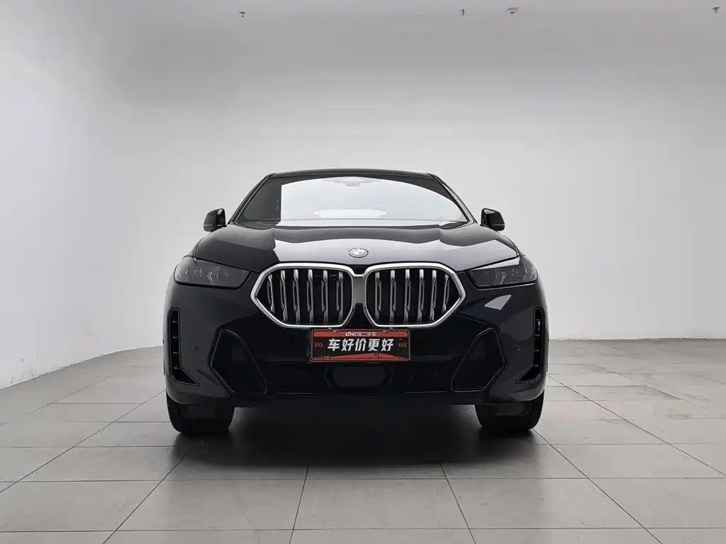 BMW X6 — миниатюра 3