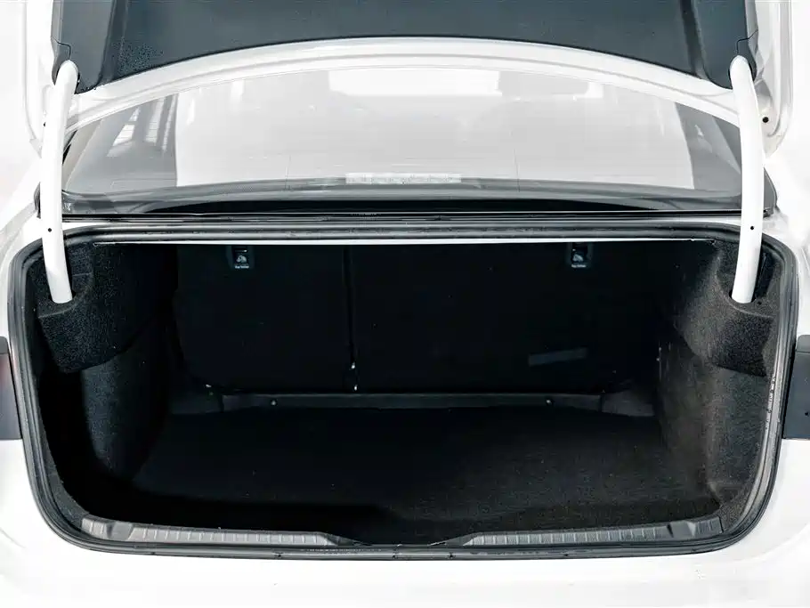 Volkswagen Lamando — миниатюра 22
