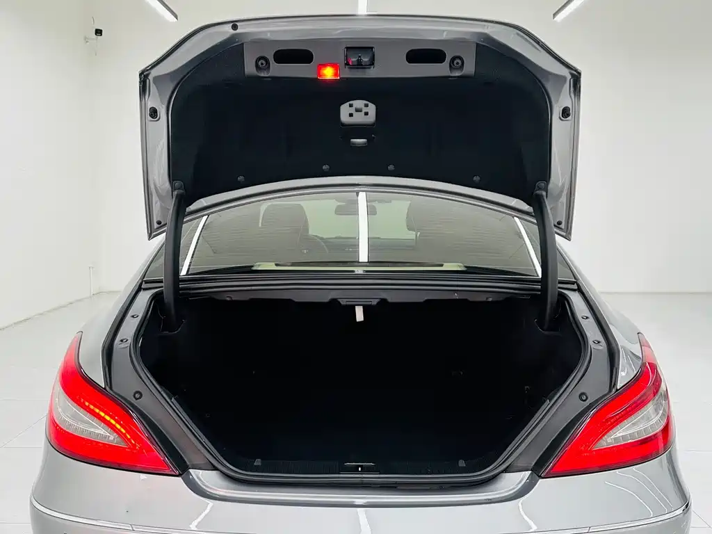 Mercedes-Benz CLS — миниатюра 21