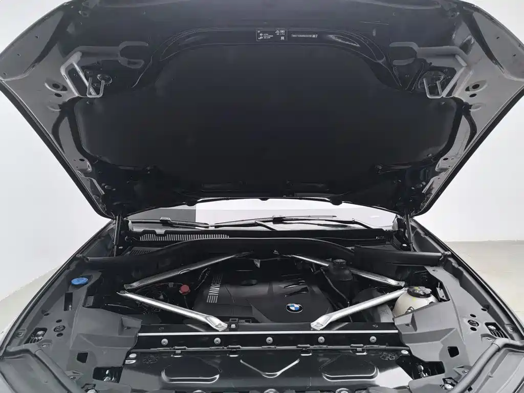 BMW X6 — миниатюра 6