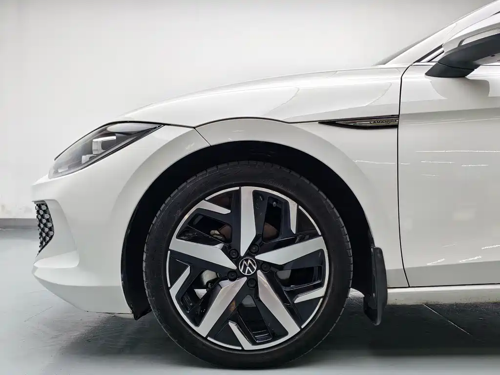 Volkswagen Lamando — миниатюра 7