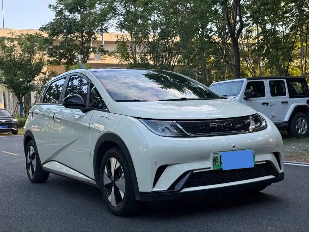 BYD Dolphin — миниатюра 3