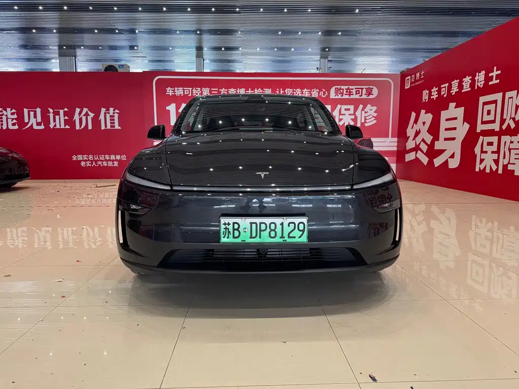 Tesla Model Y — миниатюра 2