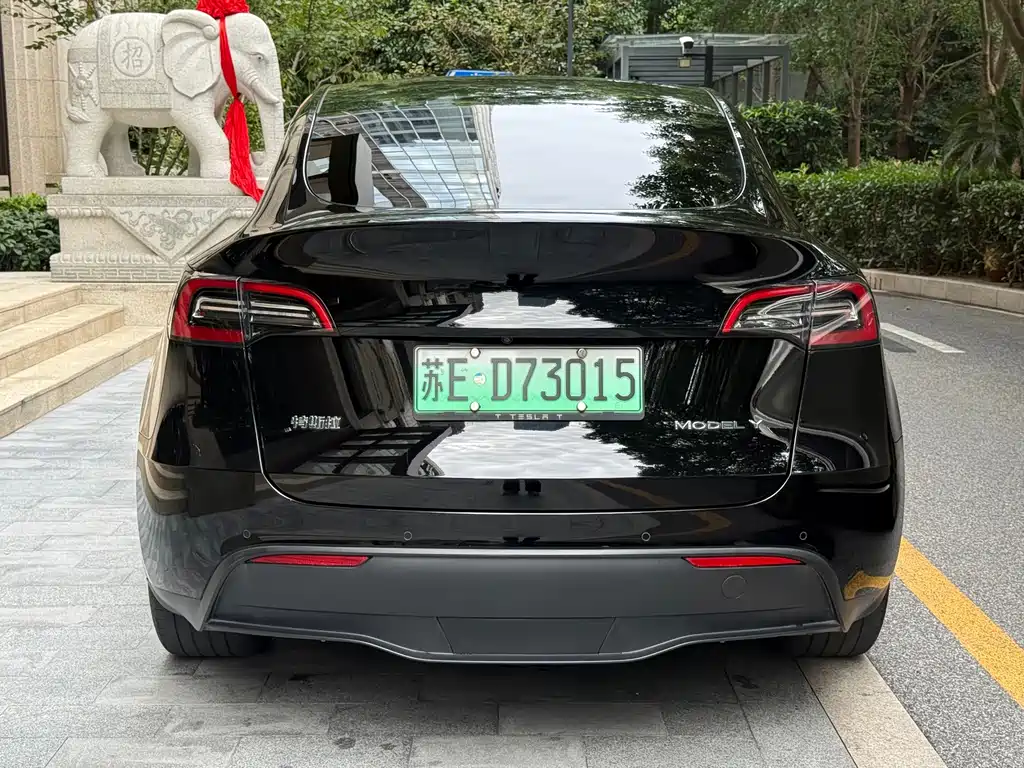 Tesla Model Y — миниатюра 6