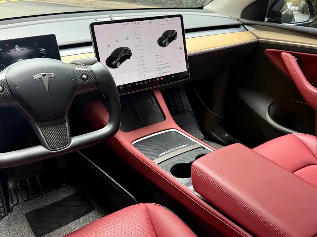 Tesla Model Y — миниатюра 12