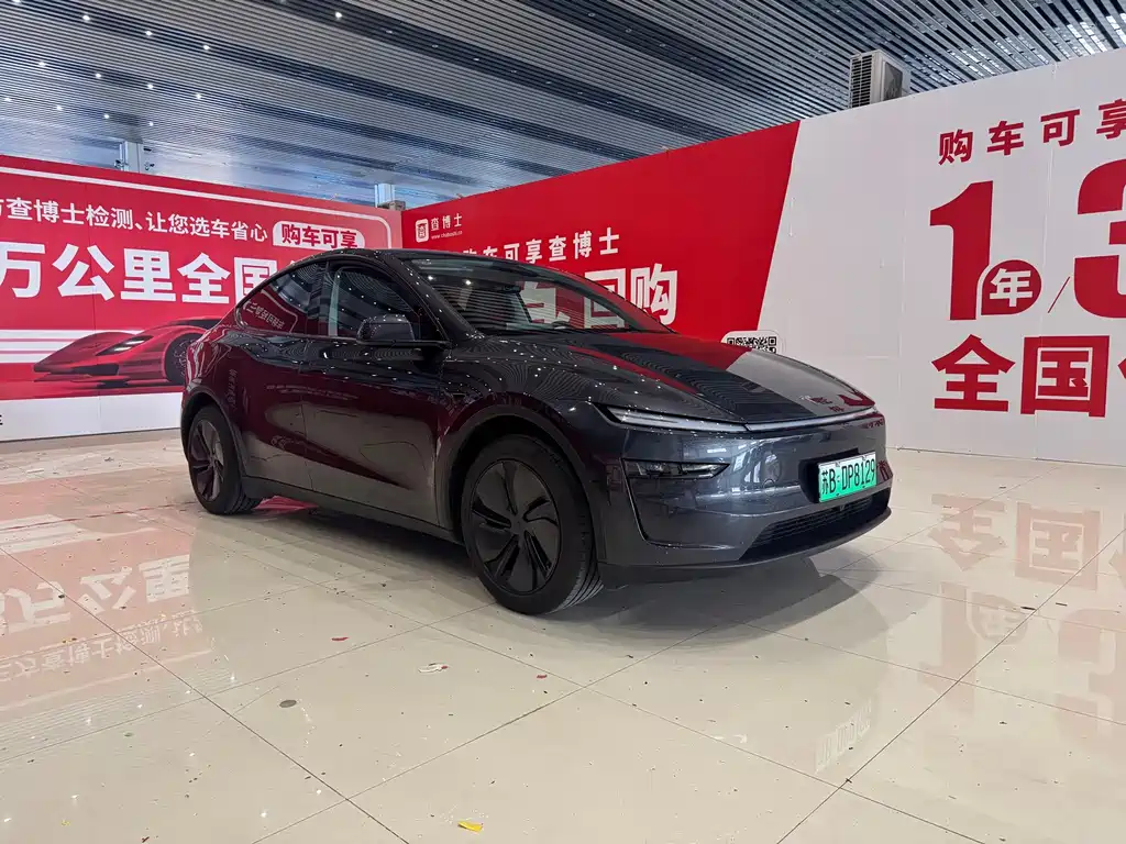 Tesla Model Y — миниатюра 3