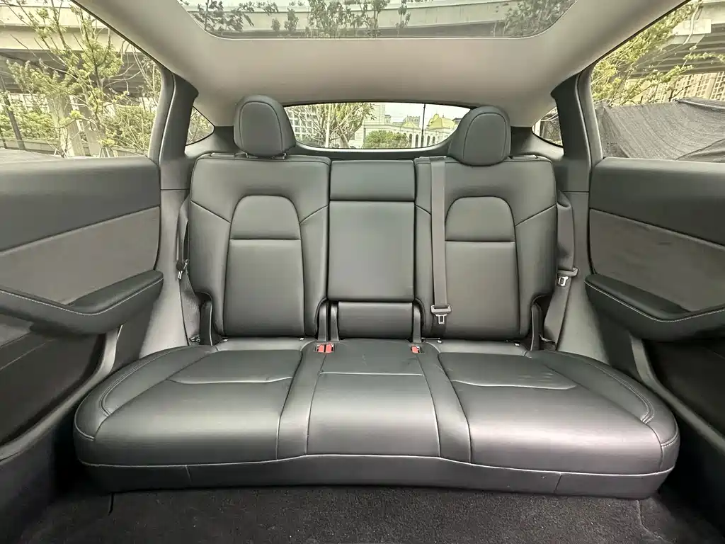 Tesla Model Y — миниатюра 13