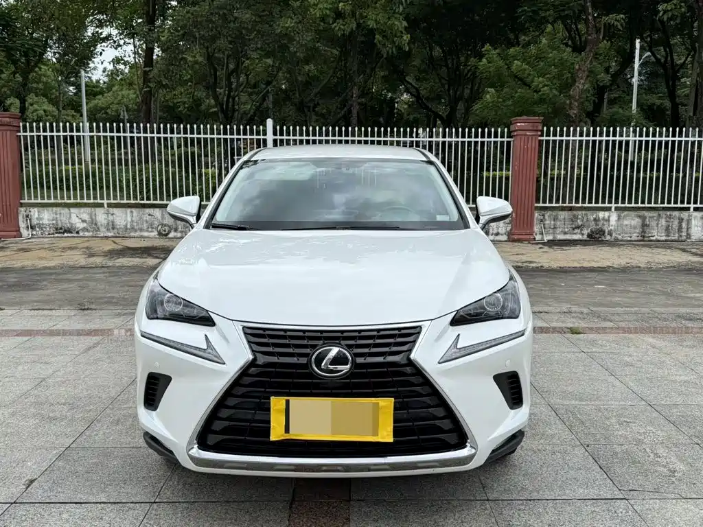 Lexus NX — миниатюра 2