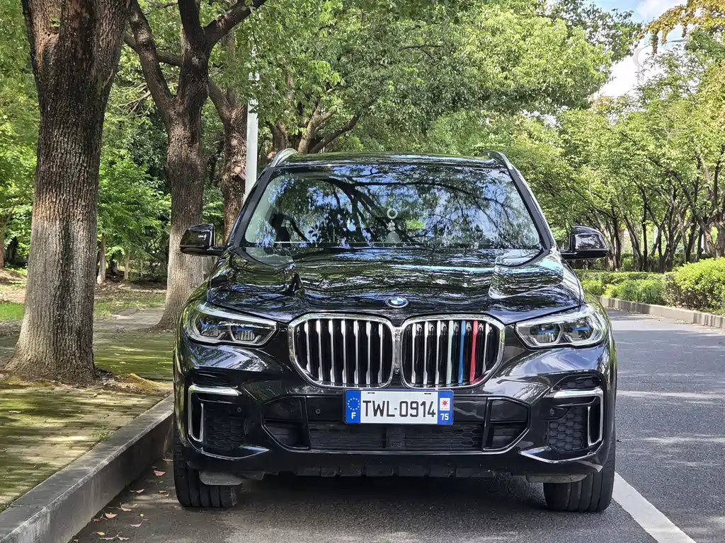 BMW X5 2022 xDrive 30Li Premium M Sport