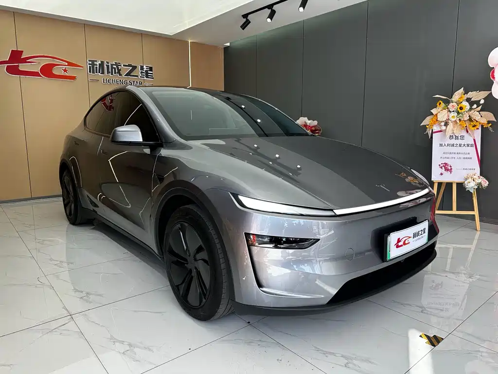 Tesla Model Y — миниатюра 3