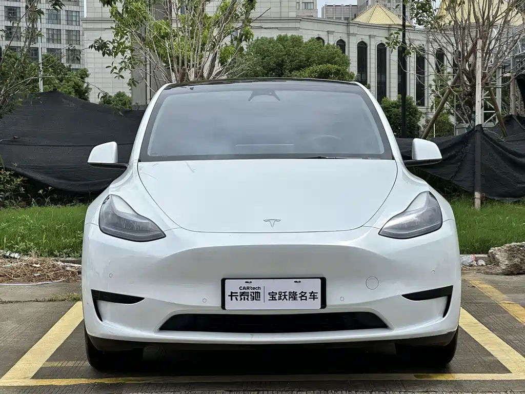 Tesla Model Y — миниатюра 2