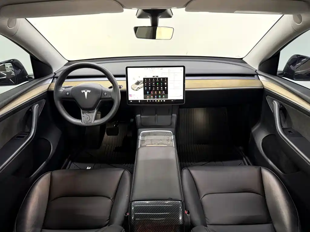 Tesla Model Y — миниатюра 10
