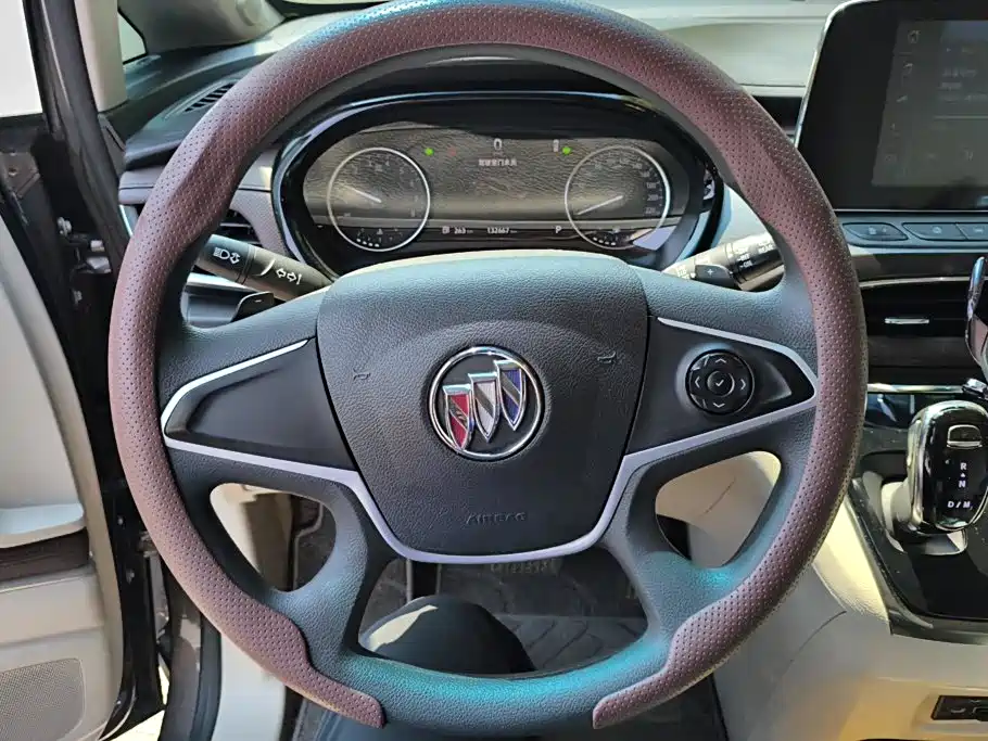 Buick GL8 — миниатюра 15