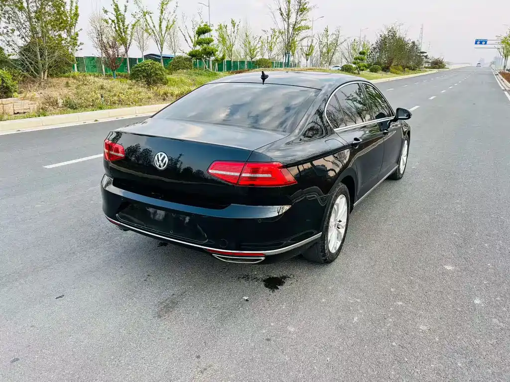 Volkswagen Magotan 2019 330TSI DSG Luxury VI
