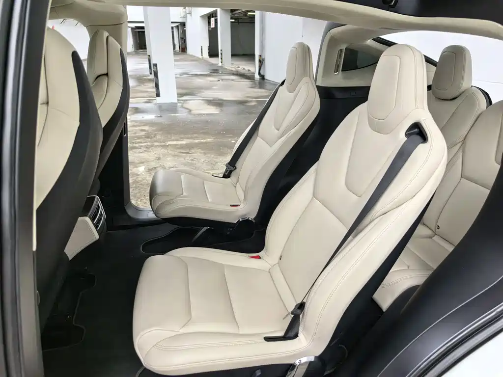 Tesla Model X 2017 Model X 100D