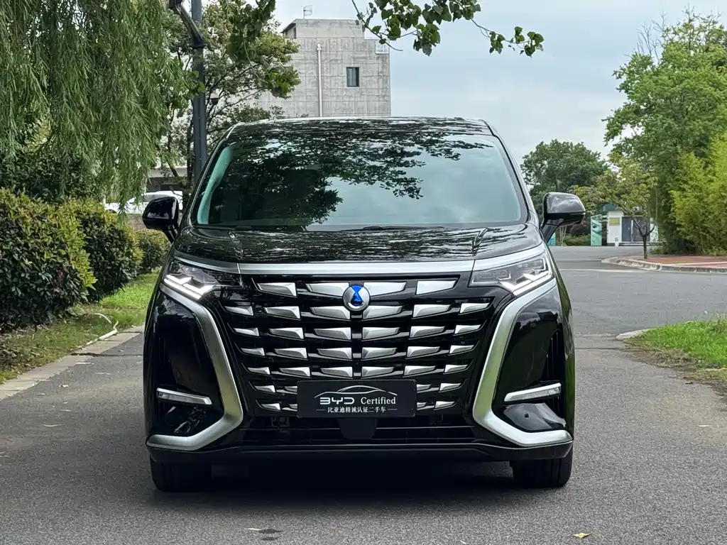 Denza Denza D9 — миниатюра 2