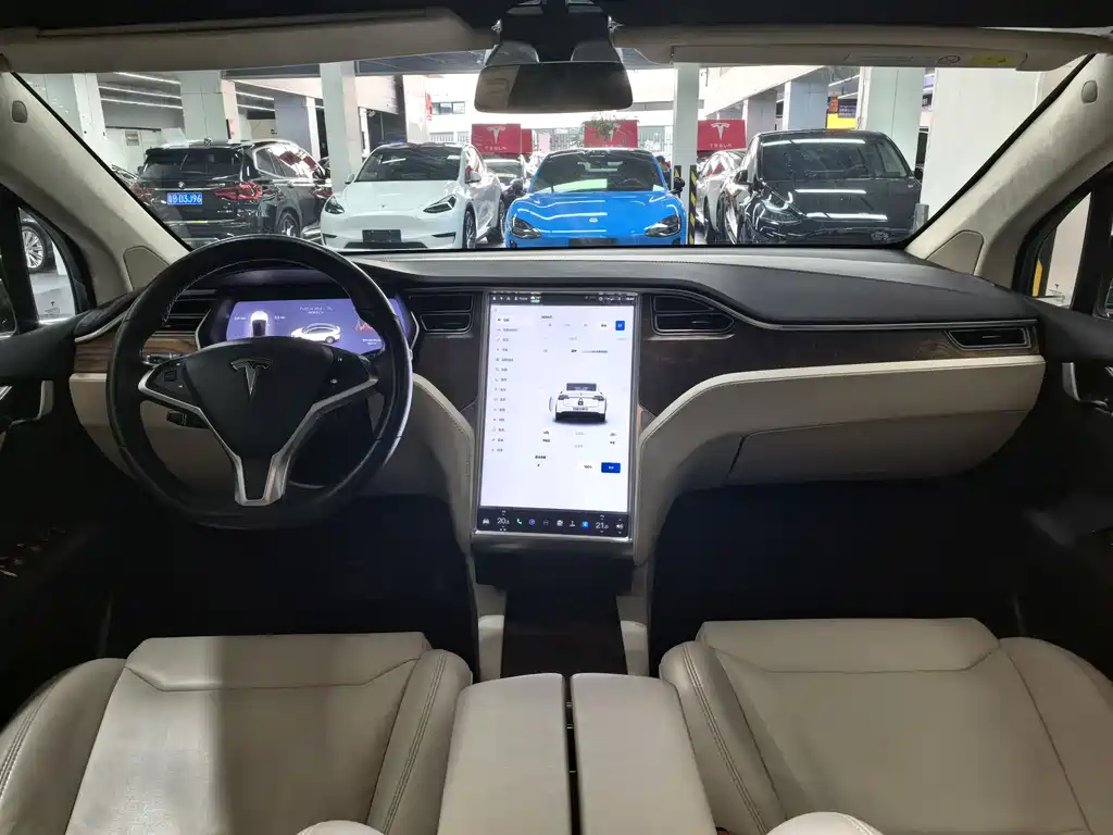 Tesla Model X 2017 Model X 100D